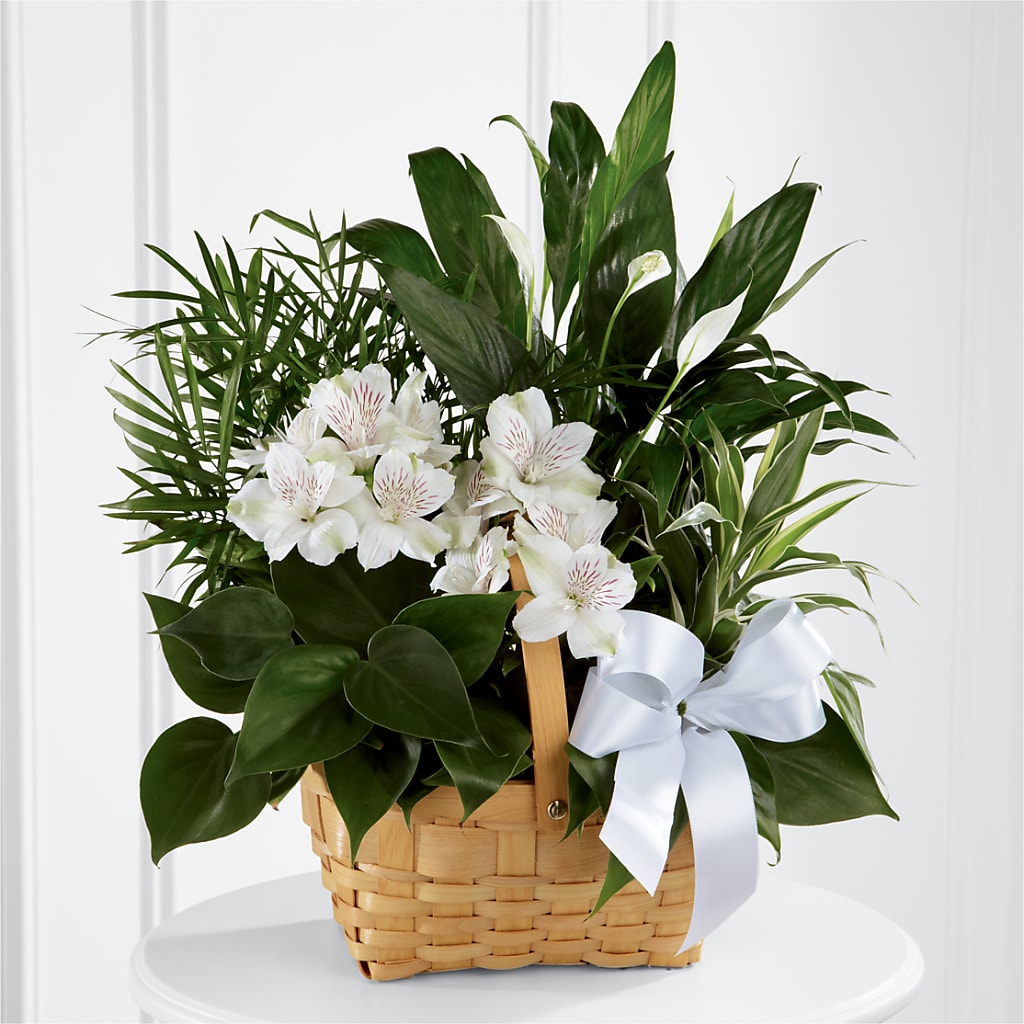 Peace & Serenity Dishgarden – Park Merced Florist, Corona CA