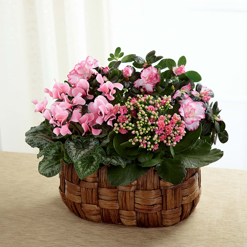 Pink Assortment – Park Merced Florist, Corona CA