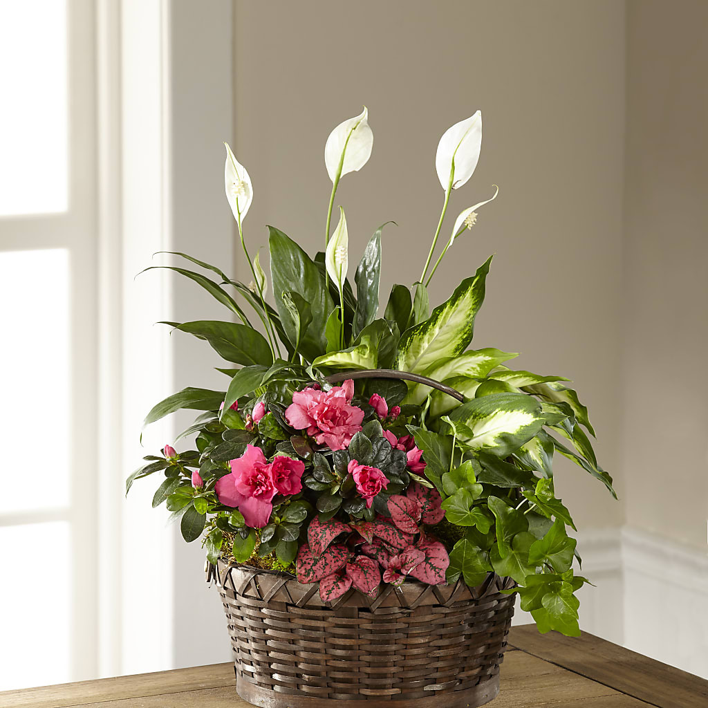 Dream in Pink Dishgarden – Park Merced Florist, Corona CA