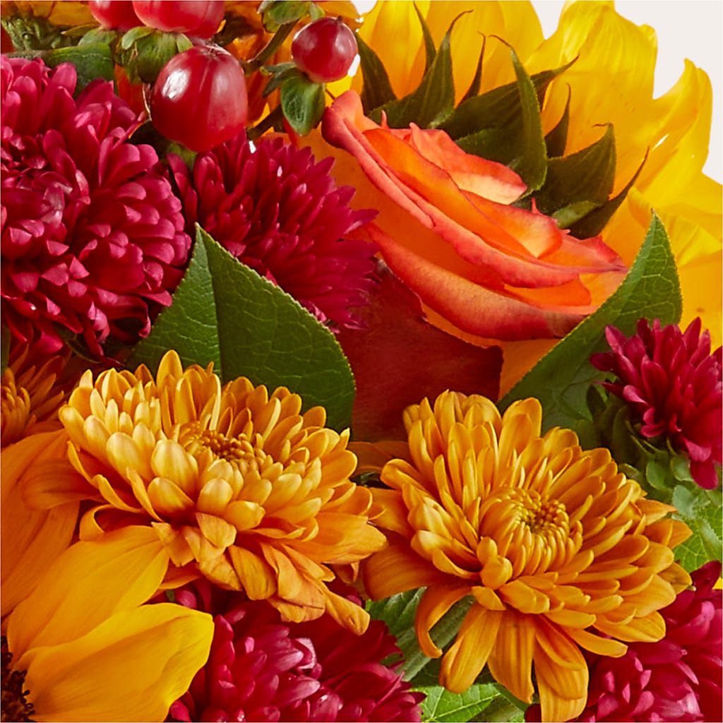 Sweater Season - A Florist Original – Park Merced Florist, Corona CA