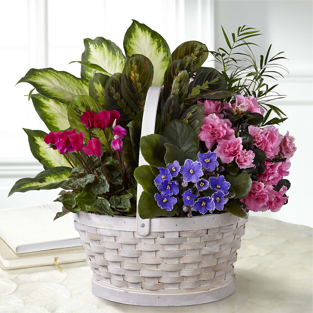 Peaceful Garden Planter – Park Merced Florist, Corona CA