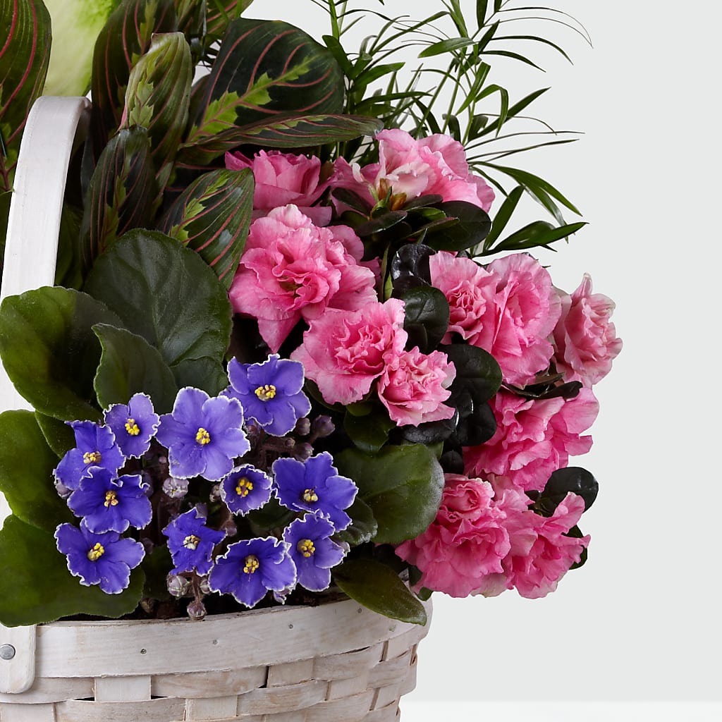 Peaceful Garden Planter – Park Merced Florist, Corona CA