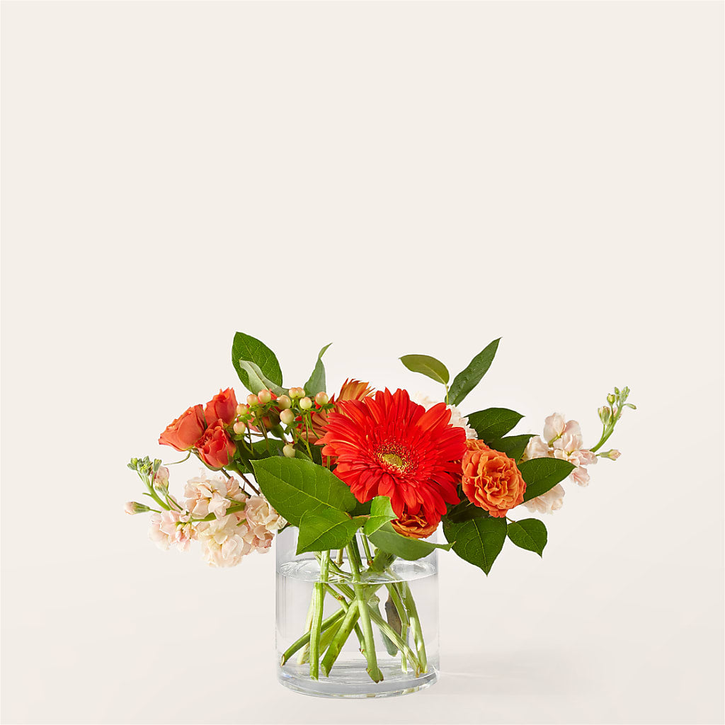Paloma Please Bouquet – Park Merced Florist, Corona CA