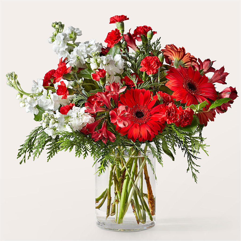 Holidaisy Bouquet – Park Merced Florist, Corona CA