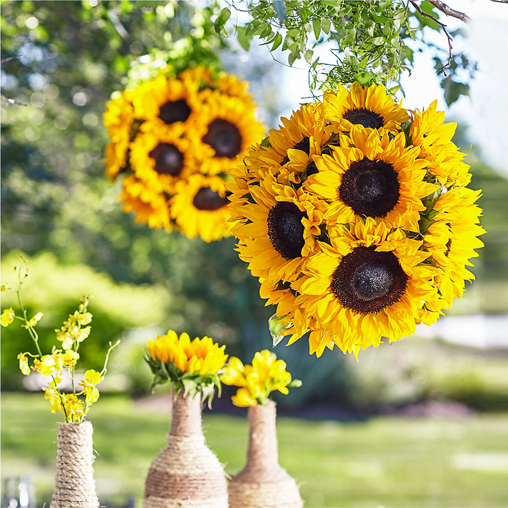 Sublime Garden Hanging Arrangement – Park Merced Florist, Corona CA