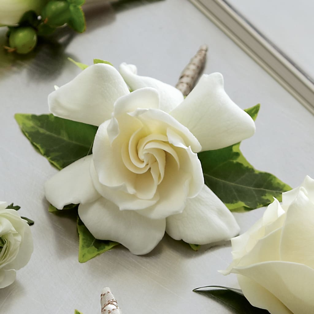 Gardenia Boutonniere – Park Merced Florist, Corona CA