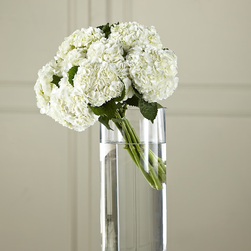 White Hydrangea Hand-Tied Bouquet – Park Merced Florist, Corona CA
