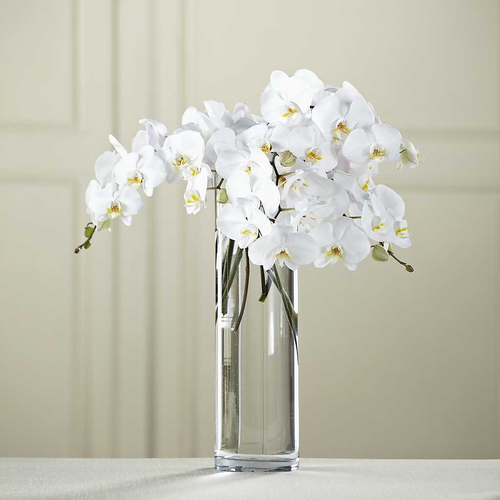 White Phalaenopsis Bouquet – Park Merced Florist, Corona CA