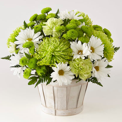 Lucky Charm Basket (Standard) –  Park Merced Florist, Corona CA