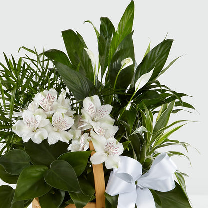 Peace & Serenity Dishgarden –  Park Merced Florist, Corona CA