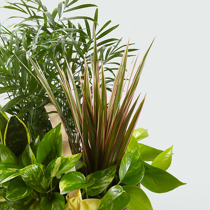 French Garden –  Park Merced Florist, Corona CA