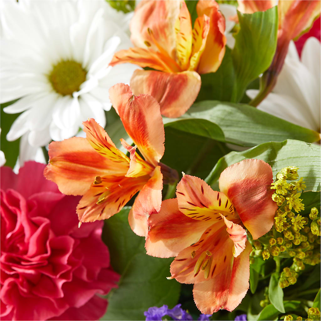 Oopsie Daisy Box Bouquet –  Park Merced Florist, Corona CA