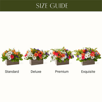 Oopsie Daisy Box Bouquet –  Park Merced Florist, Corona CA