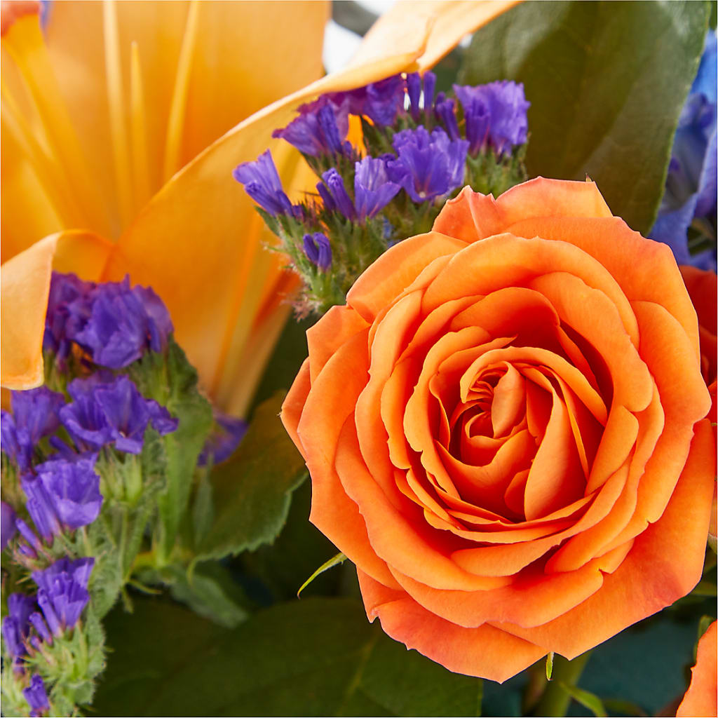 Radiant Citrus Box Bouquet –  Park Merced Florist, Corona CA