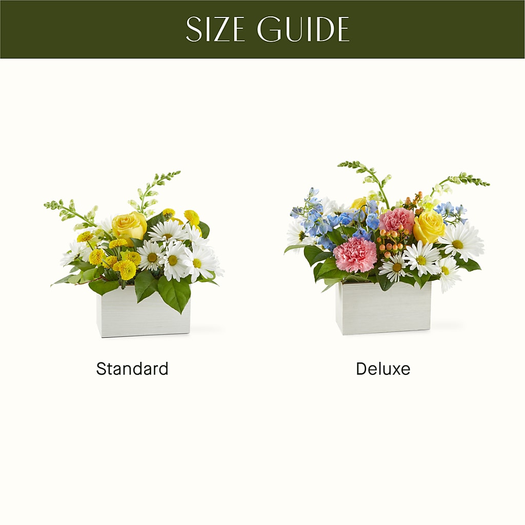 Sun Salutation Box Bouquet –  Park Merced Florist, Corona CA