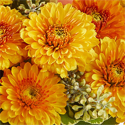 Peachy Pumpkin –  Park Merced Florist, Corona CA