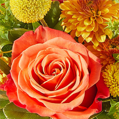 Gourdgeous Pumpkin –  Park Merced Florist, Corona CA