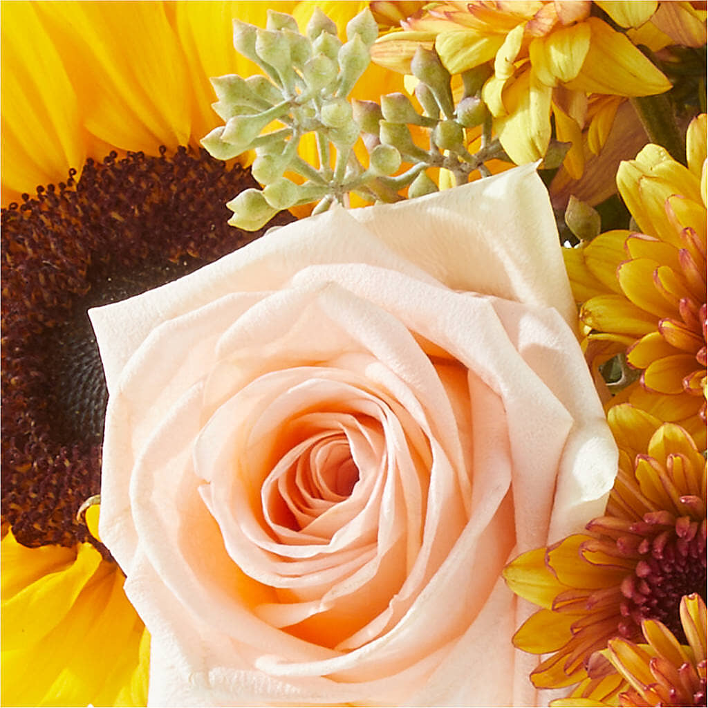 Pumpkin to Talk About Bouquet –  Park Merced Florist, Corona CA