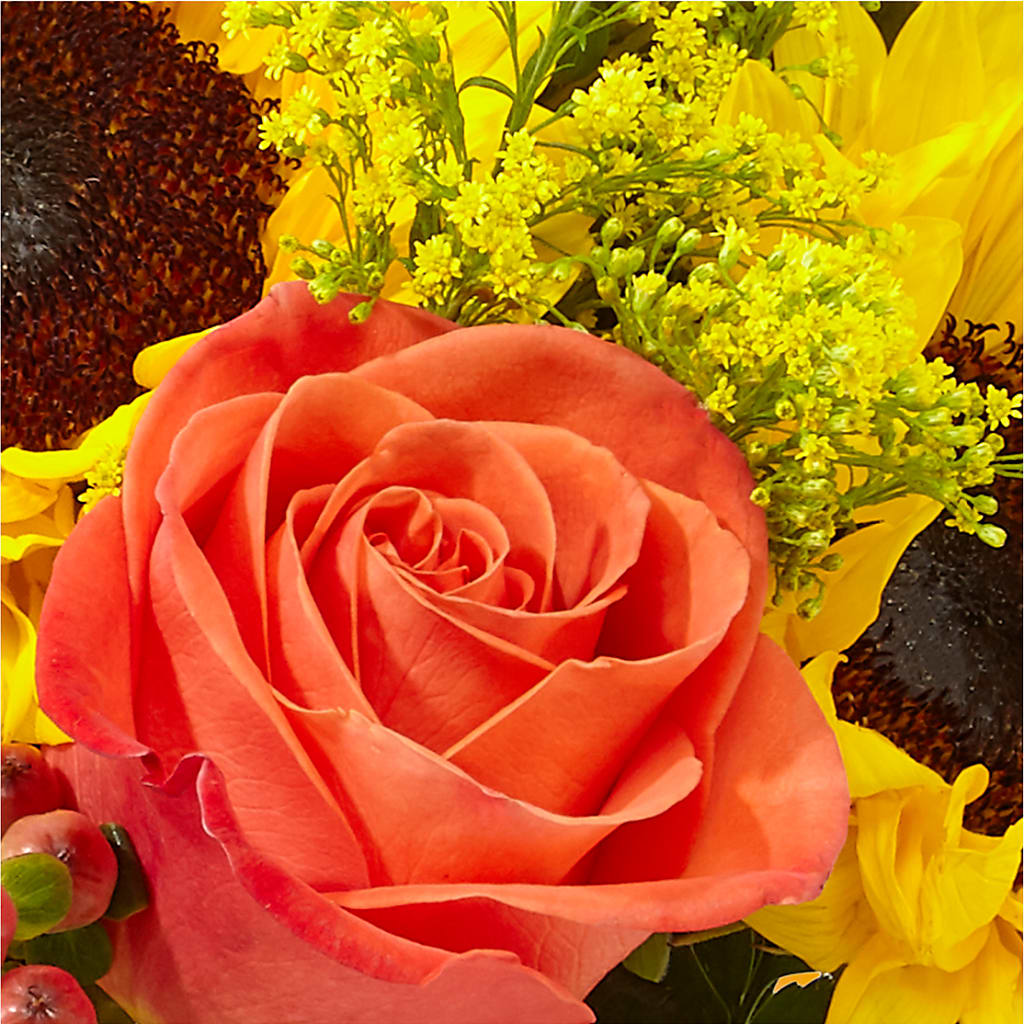 Pick of the Patch Pumpkin Bouquet –  Park Merced Florist, Corona CA