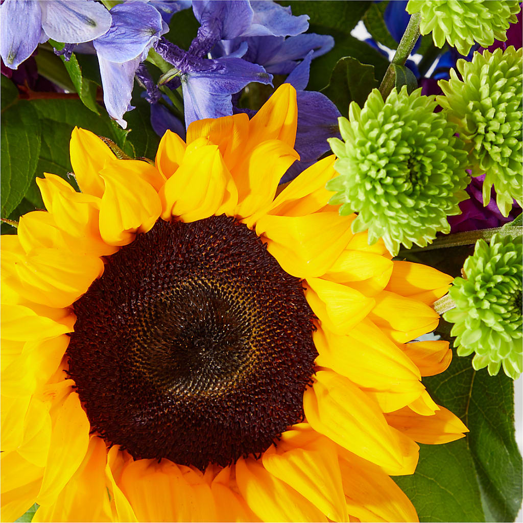 Catching Rays Bouquet –  Park Merced Florist, Corona CA