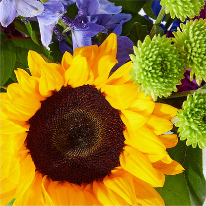 Catching Rays Bouquet –  Park Merced Florist, Corona CA