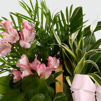 Living Spirit Dishgarden –  Park Merced Florist, Corona CA