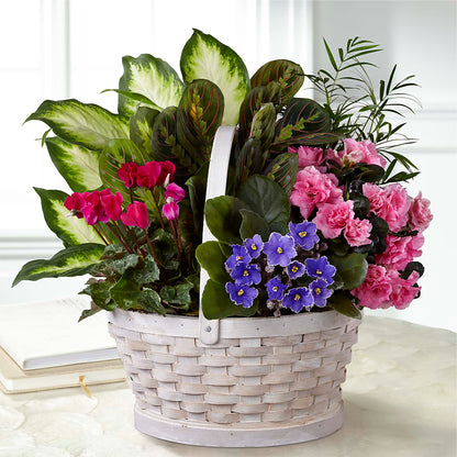Peaceful Garden Planter –  Park Merced Florist, Corona CA