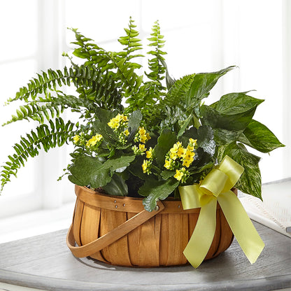 Always Dear Dishgarden –  Park Merced Florist, Corona CA