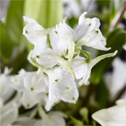Classic Ivory – A Florist Original –  Park Merced Florist, Corona CA