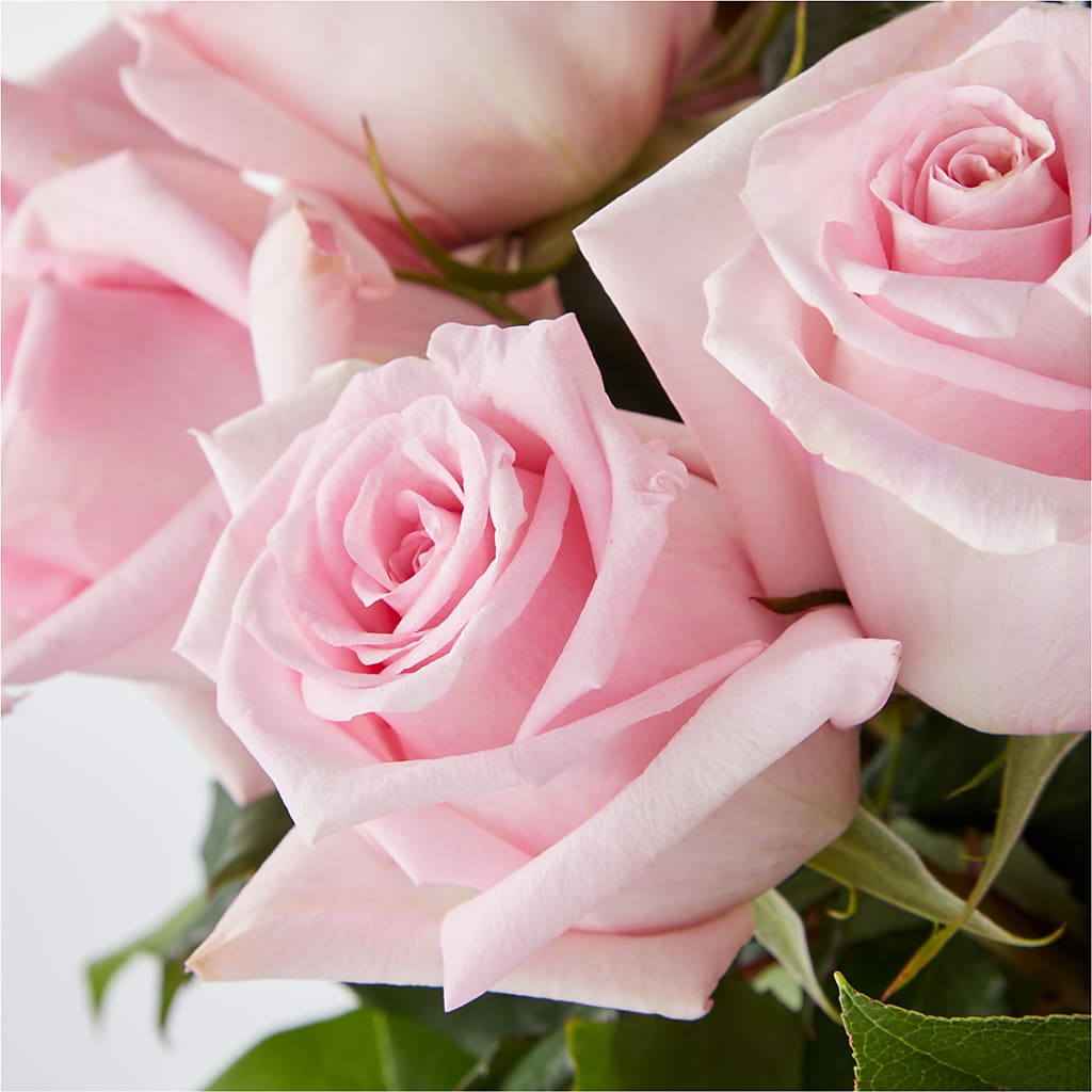 Picture Perfect Pink Rose Bouquet –  Park Merced Florist, Corona CA