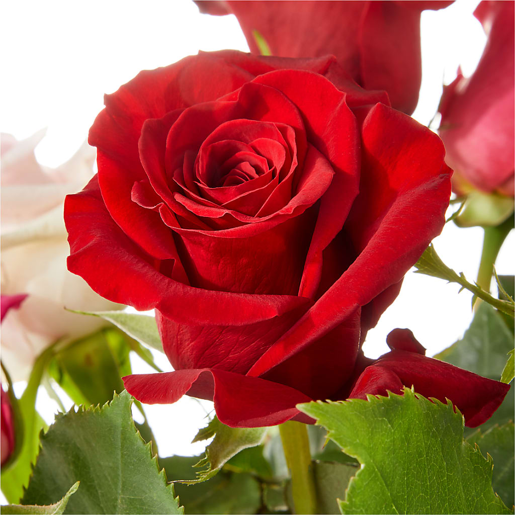 Love Notes Rose Bouquet –  Park Merced Florist, Corona CA