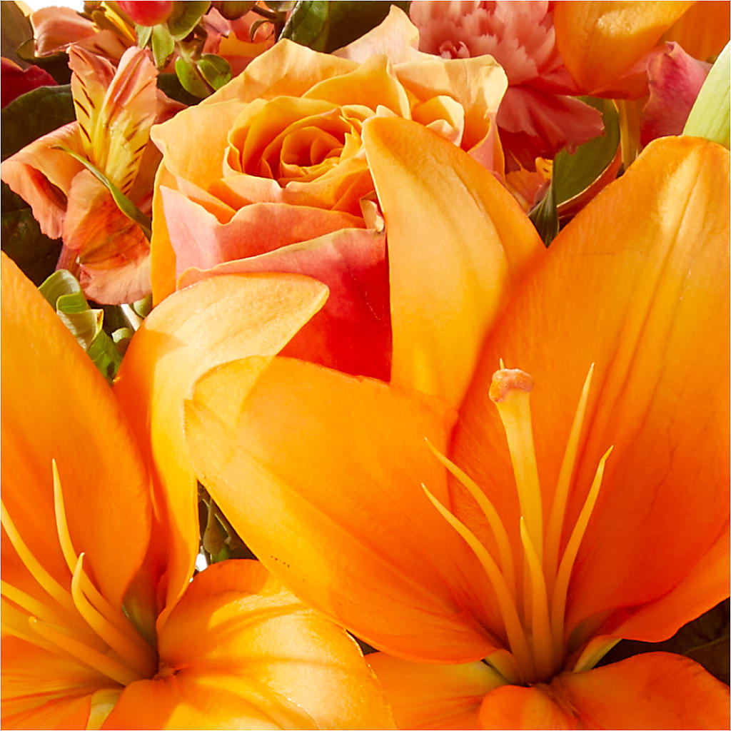 Afternoon Light Bouquet –  Park Merced Florist, Corona CA