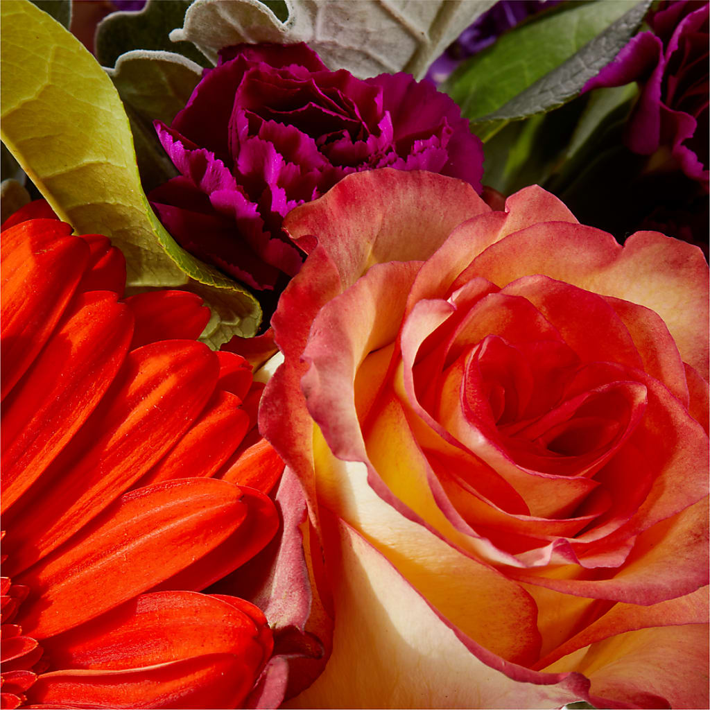 Sangria Bouquet –  Park Merced Florist, Corona CA