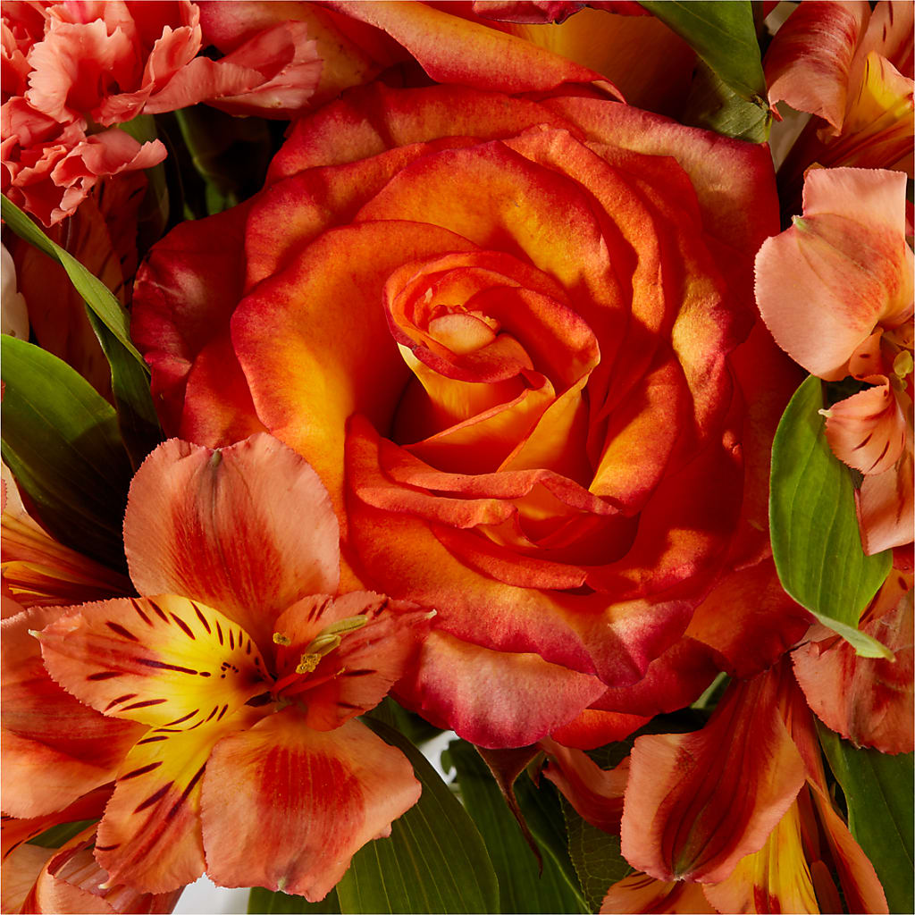 Apricot Glow Bouquet –  Park Merced Florist, Corona CA