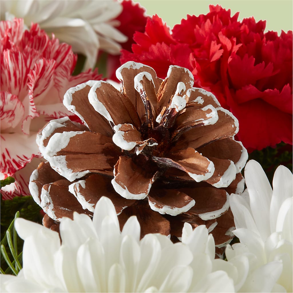 Candy Cane Lane Bouquet –  Park Merced Florist, Corona CA