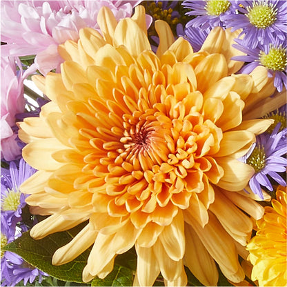 Countryside Bouquet –  Park Merced Florist, Corona CA