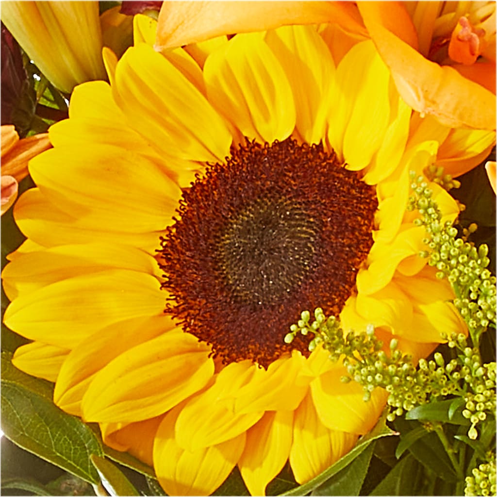 Seasons Change Bouquet –  Park Merced Florist, Corona CA