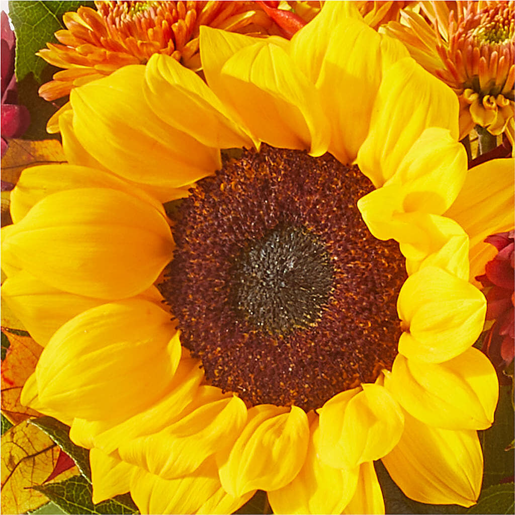 Sunny Side Bouquet –  Park Merced Florist, Corona CA