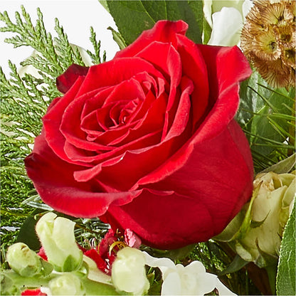 Deck the Halls Bouquet –  Park Merced Florist, Corona CA