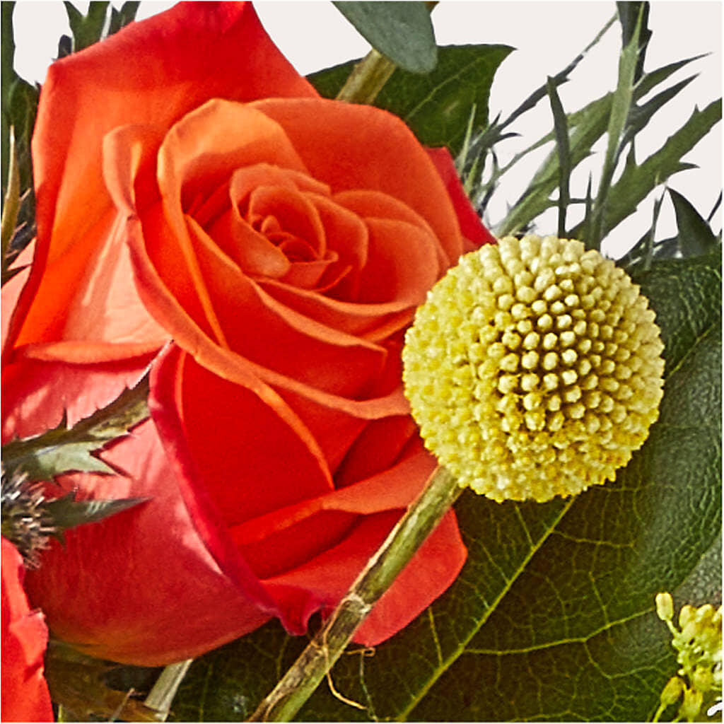 Disco Bouquet –  Park Merced Florist, Corona CA