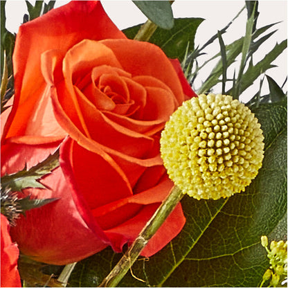 Disco Bouquet –  Park Merced Florist, Corona CA