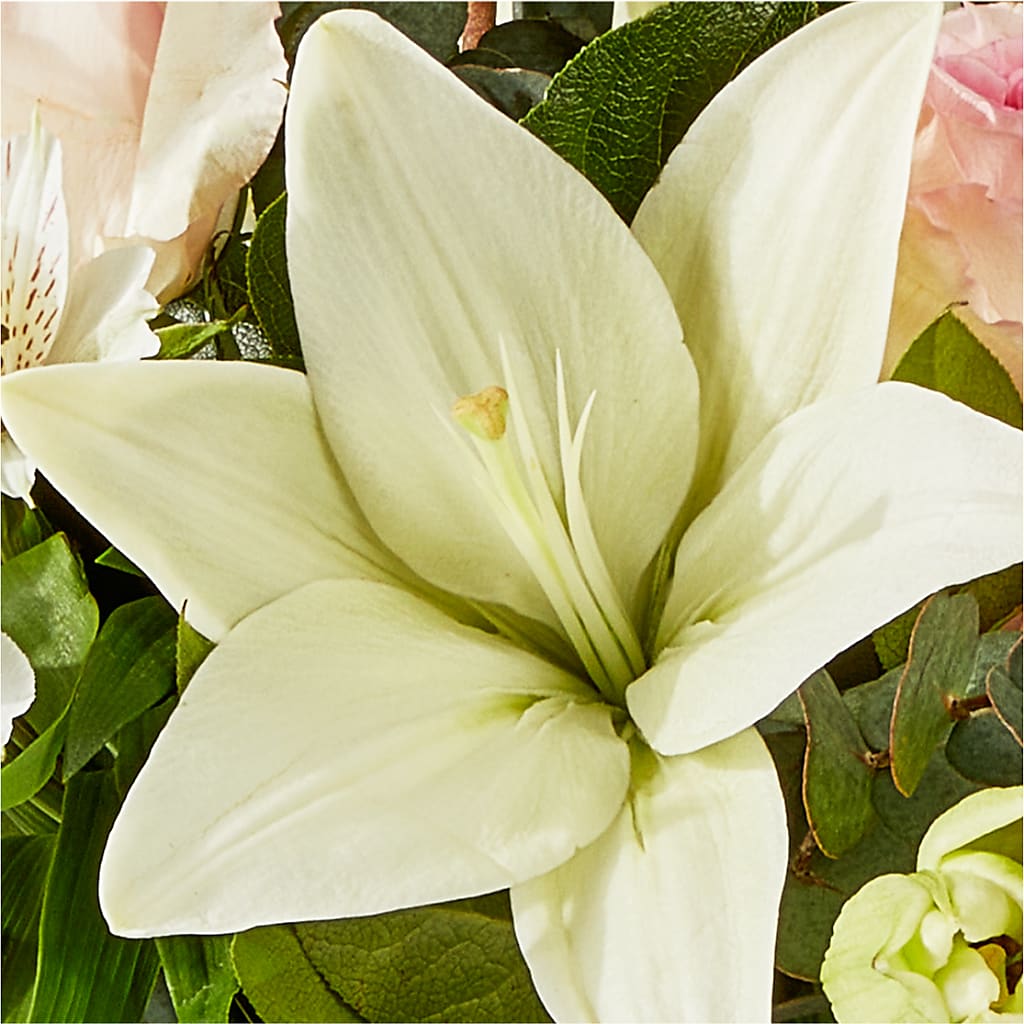 Ballet Slippers Bouquet –  Park Merced Florist, Corona CA