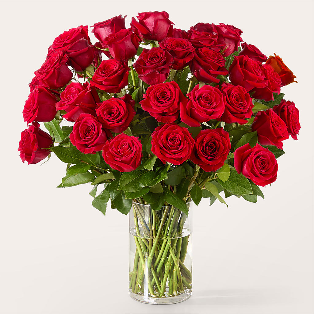 The One Red Rose Bouquet –  Park Merced Florist, Corona CA