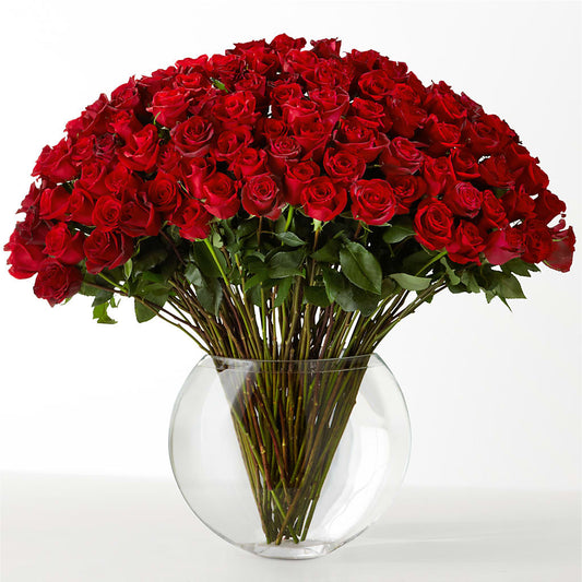 The Idealist –  Park Merced Florist, Corona CA