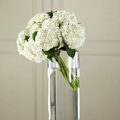White Hydrangea Hand-Tied Bouquet –  Park Merced Florist, Corona CA