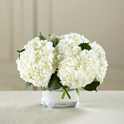 White Hydrangea Bouquet –  Park Merced Florist, Corona CA
