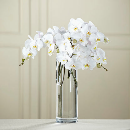 White Phalaenopsis Bouquet –  Park Merced Florist, Corona CA